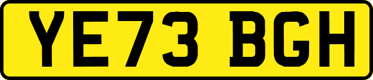 YE73BGH
