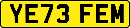 YE73FEM