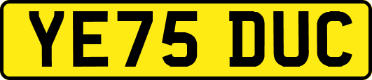 YE75DUC