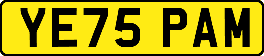 YE75PAM