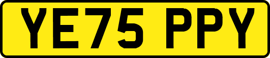 YE75PPY