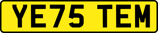YE75TEM