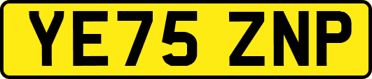 YE75ZNP