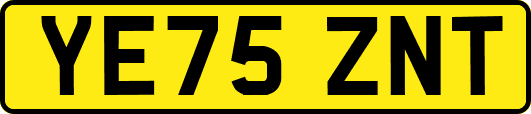 YE75ZNT