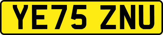 YE75ZNU