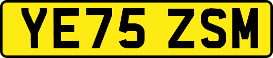 YE75ZSM