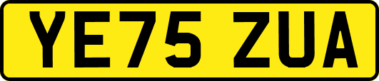 YE75ZUA