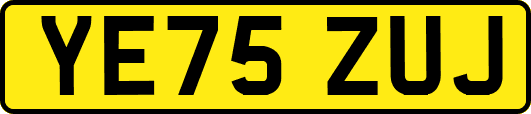 YE75ZUJ