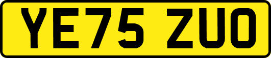 YE75ZUO
