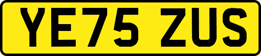 YE75ZUS