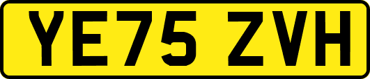 YE75ZVH