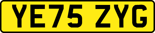 YE75ZYG