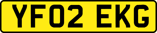 YF02EKG