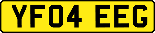 YF04EEG