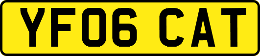 YF06CAT