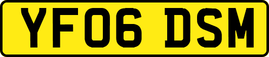 YF06DSM