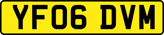 YF06DVM