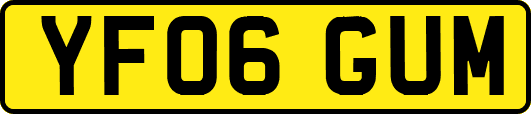 YF06GUM