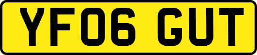 YF06GUT