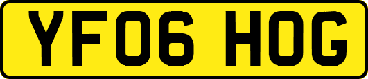 YF06HOG