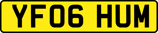 YF06HUM