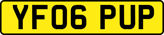 YF06PUP