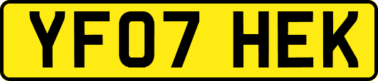 YF07HEK