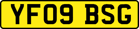 YF09BSG