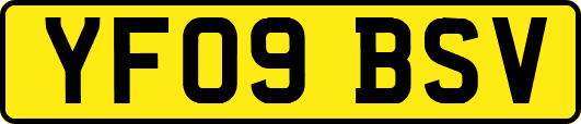 YF09BSV