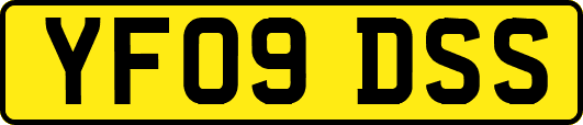 YF09DSS
