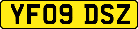 YF09DSZ