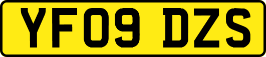 YF09DZS