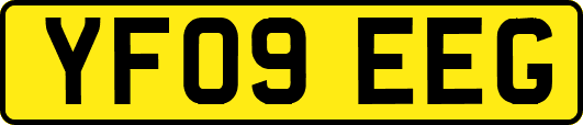 YF09EEG