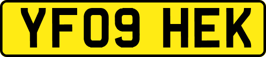 YF09HEK