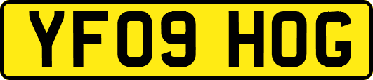 YF09HOG