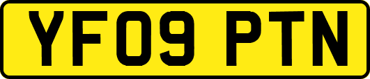 YF09PTN