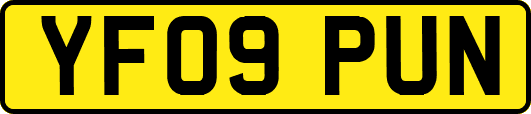 YF09PUN