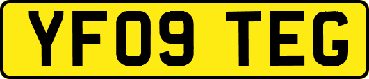 YF09TEG