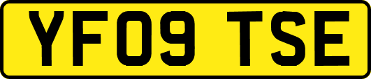 YF09TSE