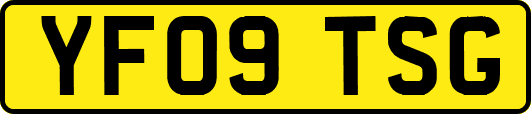 YF09TSG