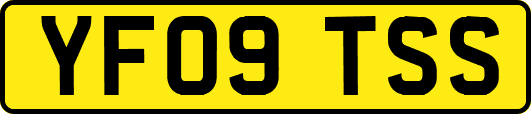 YF09TSS