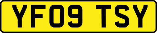 YF09TSY
