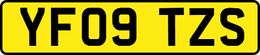 YF09TZS
