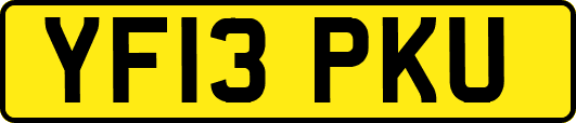 YF13PKU