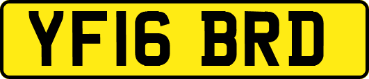 YF16BRD