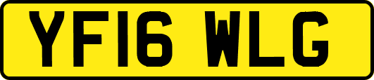 YF16WLG