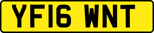 YF16WNT