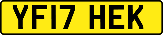 YF17HEK