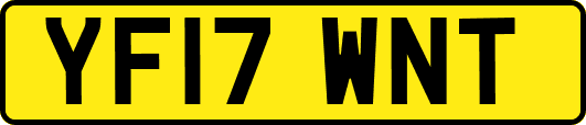 YF17WNT