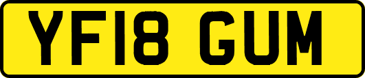 YF18GUM